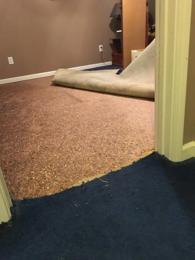 Carpet pad removal revealing water damage during Drying & Dehumidification in Manitowoc