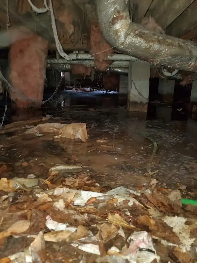 Crawl space flood assessment for Leak Detection & Repair in Manitowoc